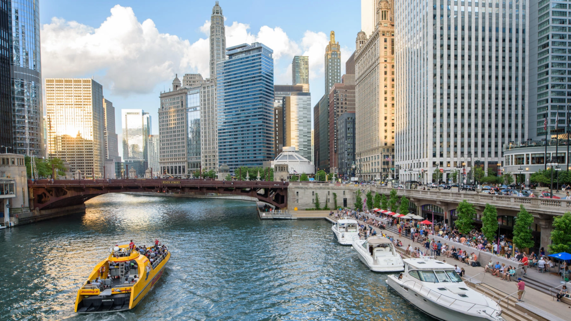 Chicago 5